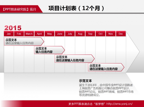 174_項(xiàng)目計(jì)劃表(紅_12個月)