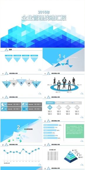 企業(yè)戰(zhàn)略管理匯報(bào)