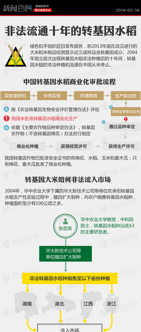 【演界信息圖表】 扁平化騰訊信息圖表-非法流通十年的轉基因水稻