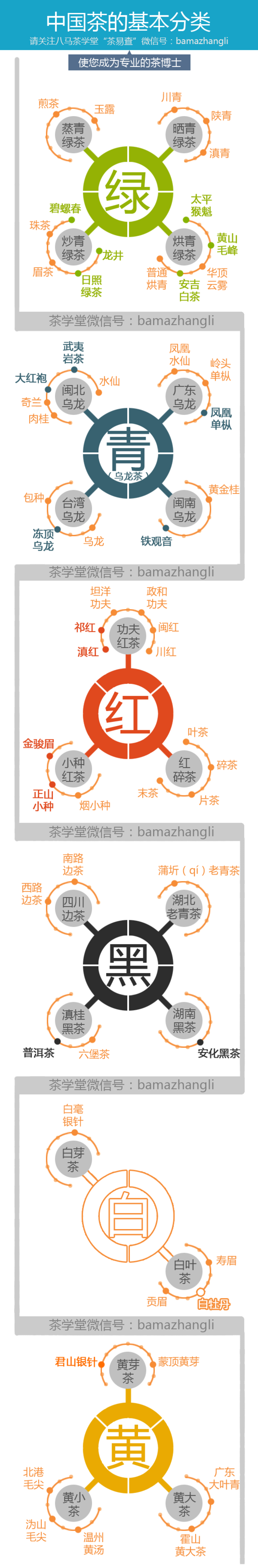 【演界信息圖表】清爽簡潔-中國茶的基本分類