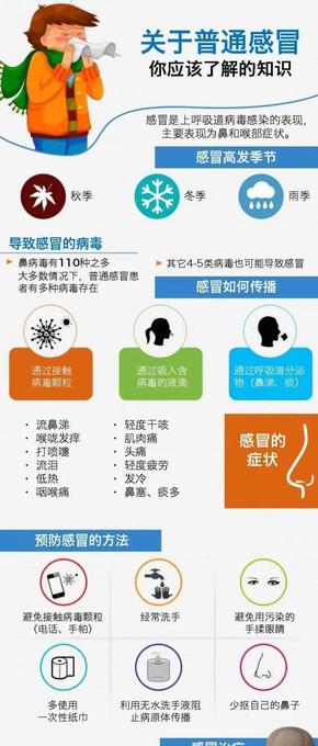 【演界信息圖表】卡通扁平-關(guān)于普通感冒你應(yīng)該了解的知識