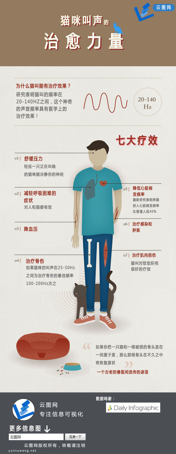 【演界信息圖表】簡(jiǎn)約形象-貓咪叫聲的治愈力量