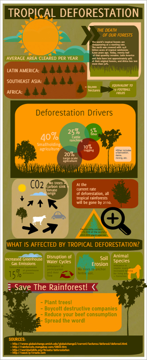 【演界信息圖表】多彩環(huán)保-熱帶雨林的砍伐