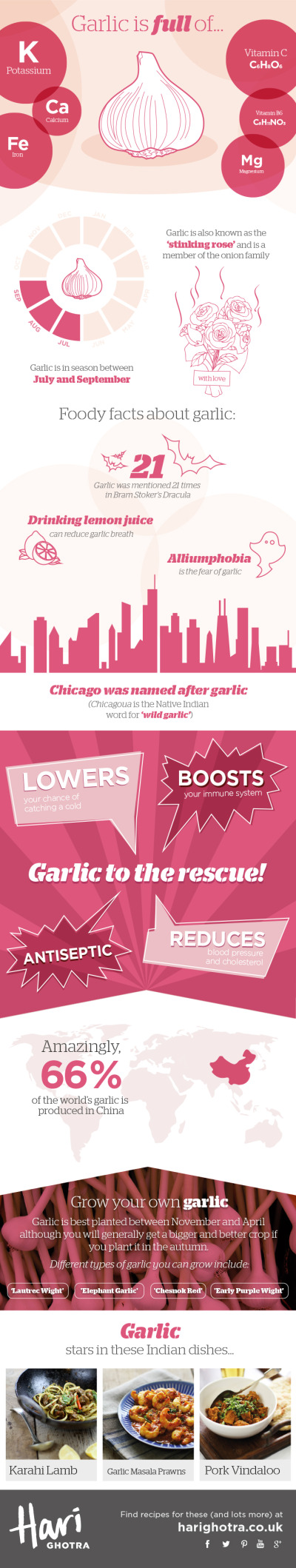 【演界信息圖表】簡約干凈—Garlic的關(guān)鍵成分信息圖