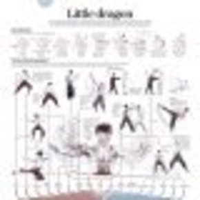 【演界網(wǎng)獨(dú)家信息圖表】黑灰-李小龍