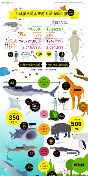 【演界信息圖表】多彩扁平-美麗海水族館與旭山動物園大調(diào)查