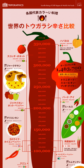 【演界信息圖表】紅色扁平-世界辣味料理比較