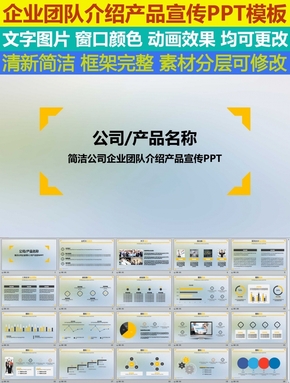 簡潔公司企業(yè)團隊介紹產(chǎn)品宣傳PPT