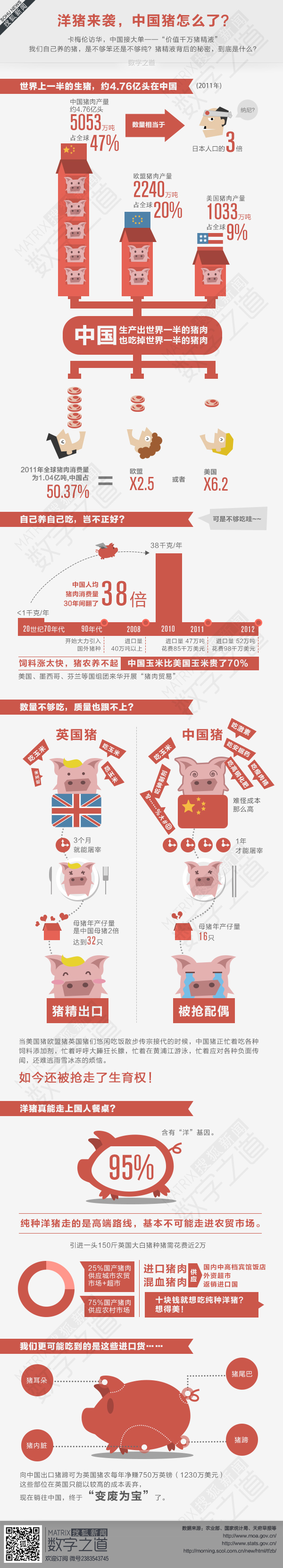 【演界網(wǎng)獨(dú)家信息圖表】扁平卡通-洋豬來襲中國豬怎么辦