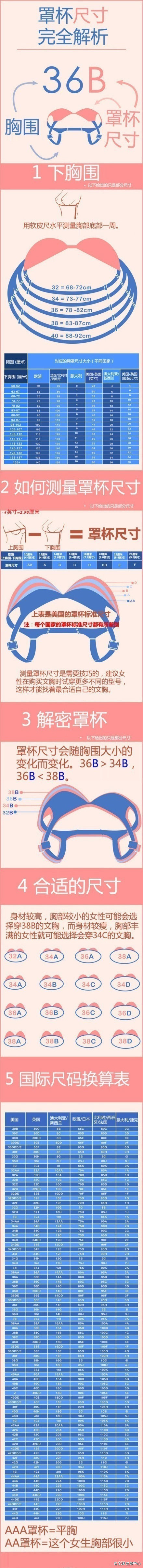 【演界信息圖表】生活-罩杯尺寸完全解析