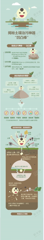 【演界信息圖表】立體圖解-揭秘土壤治污