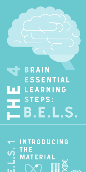 34【演界信息圖表】線條簡約--4種大腦重要的工作方式BELS
