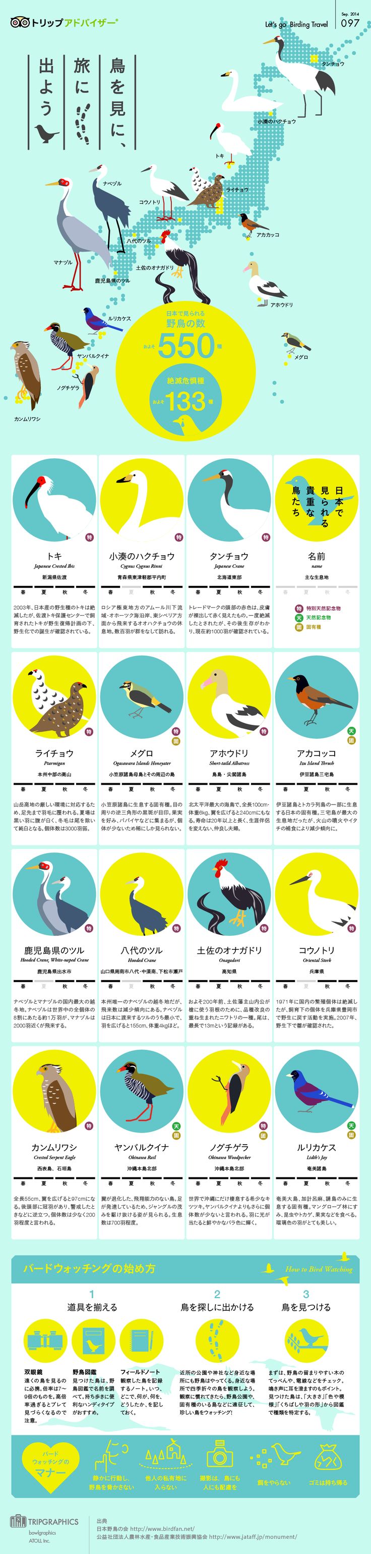 【演界信息圖表】彩色扁平-各種鳥類分布