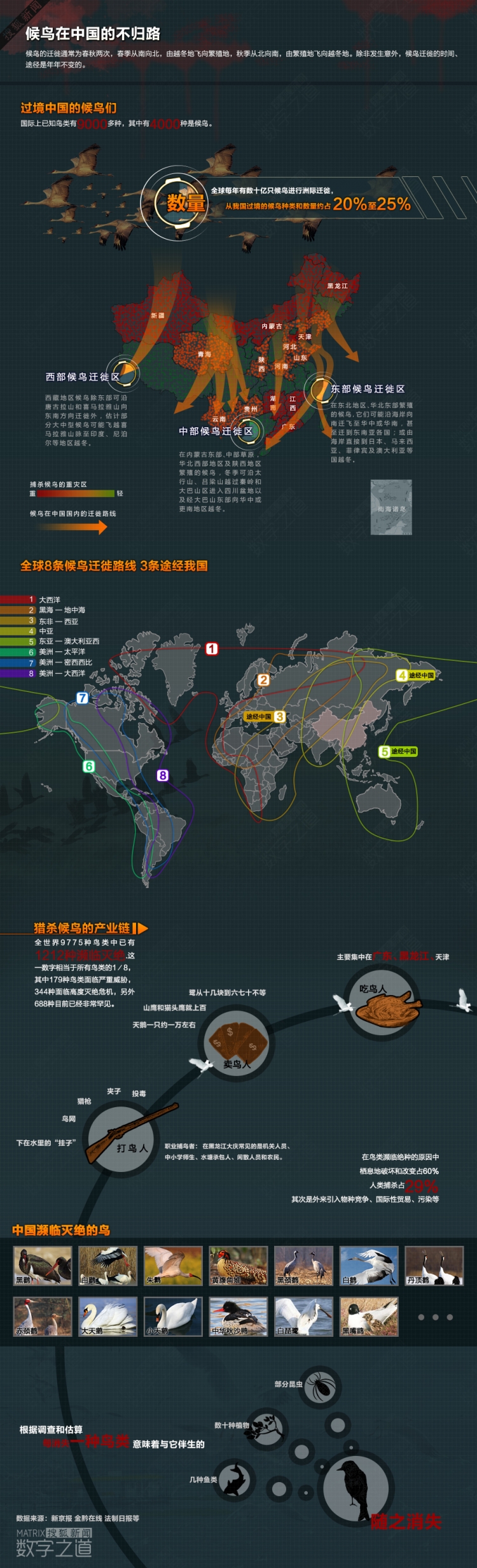 候鳥死亡地圖
