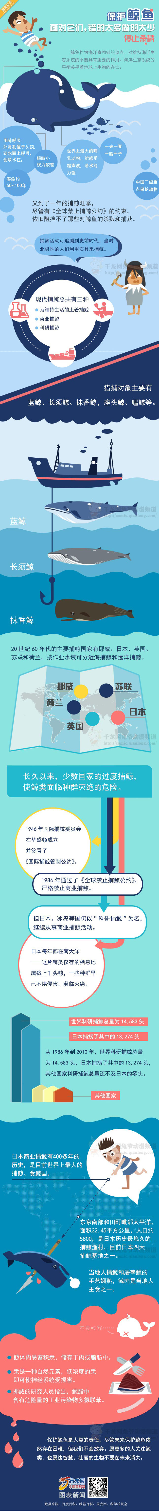 【演界信息圖表】簡約質(zhì)感- 鯨魚捕殺現(xiàn)狀