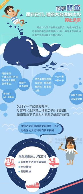 【演界信息圖表】簡(jiǎn)約質(zhì)感- 鯨魚捕殺現(xiàn)狀