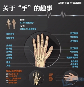 【演界信息圖表】簡約質(zhì)感- 關于手的趣事
