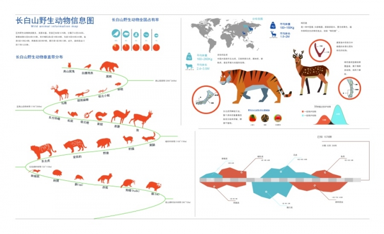 【演界信息圖表】長(zhǎng)白山動(dòng)物信息圖解