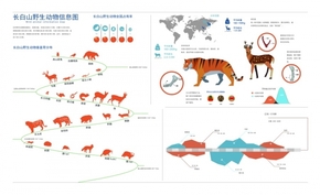 【演界信息圖表】長白山動物信息圖解