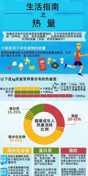 【演界信息圖表】生活指南之熱量