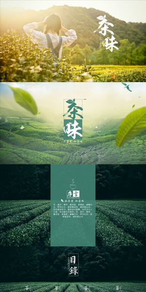 【椰子的葉】茶味境心