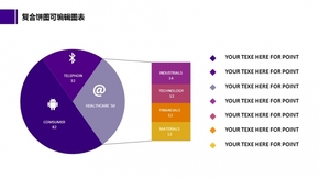 【免費】動態(tài)復(fù)合餅圖精美圖表（可編輯）