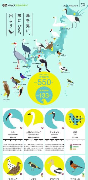 【演界信息圖表】數(shù)據(jù)可視化-日本各地鳥(niǎo)類分部