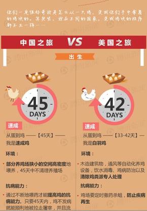 【演界信息圖表】數(shù)據(jù)可視化-從雞到雞塊的旅行