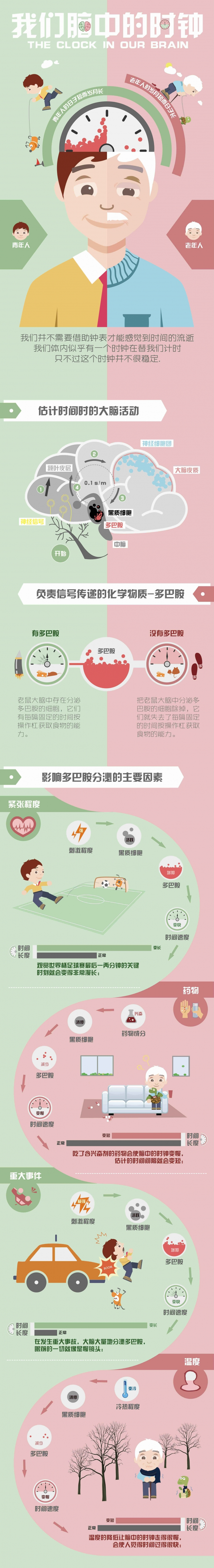 【演界信息圖表】漫畫(huà)趣味-大腦里的時(shí)鐘