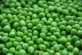【圖片分享計(jì)劃】水果蔬菜之豌豆