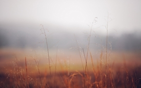 【圖片分享計劃】Depth of Field