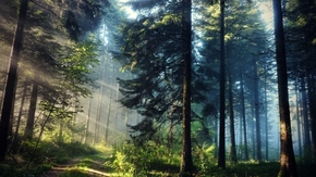 【圖片分享計劃】Hdr Photography