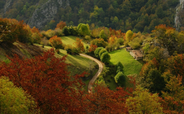 【圖片分享計劃】hidden autumn