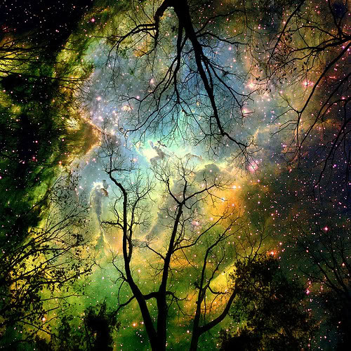 【圖片分享計(jì)劃】自然風(fēng)光-流光星空