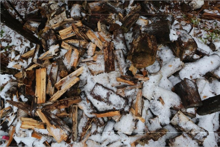 【圖片分享計劃】餓了的獅王_304 雪地里的木頭堆