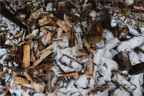 【圖片分享計(jì)劃】餓了的獅王_304 雪地里的木頭堆
