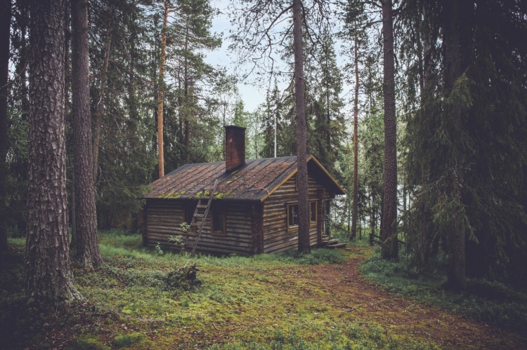 【圖片分享計劃】林間小屋