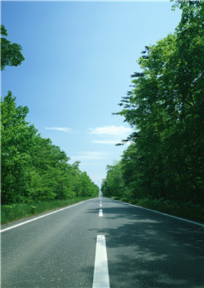 【圖片分享計(jì)劃】道路美景篇12