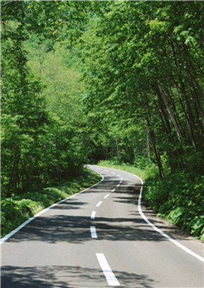 【圖片分享計(jì)劃】道路美景篇13