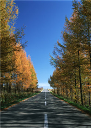 【圖片分享計(jì)劃】道路美景篇26