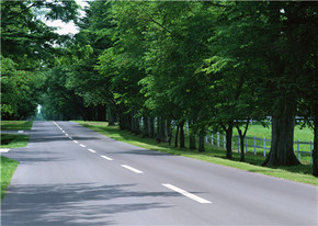 【圖片分享計(jì)劃】道路美景篇27