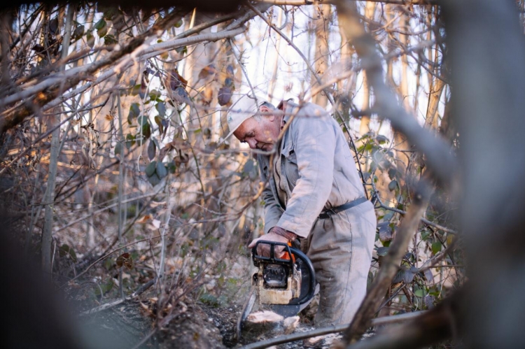 【圖片分享計劃】修樹匠