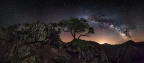 【圖片分享計劃】餓了的獅王_1261 星空 山脈 松樹