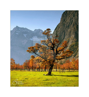 【圖片分享計(jì)劃】風(fēng)景