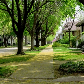 【圖片分享計(jì)劃】街道