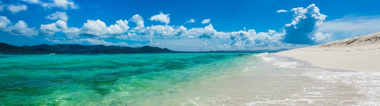 【圖片分享計劃】餓了的獅王_1602 海洋 海岸