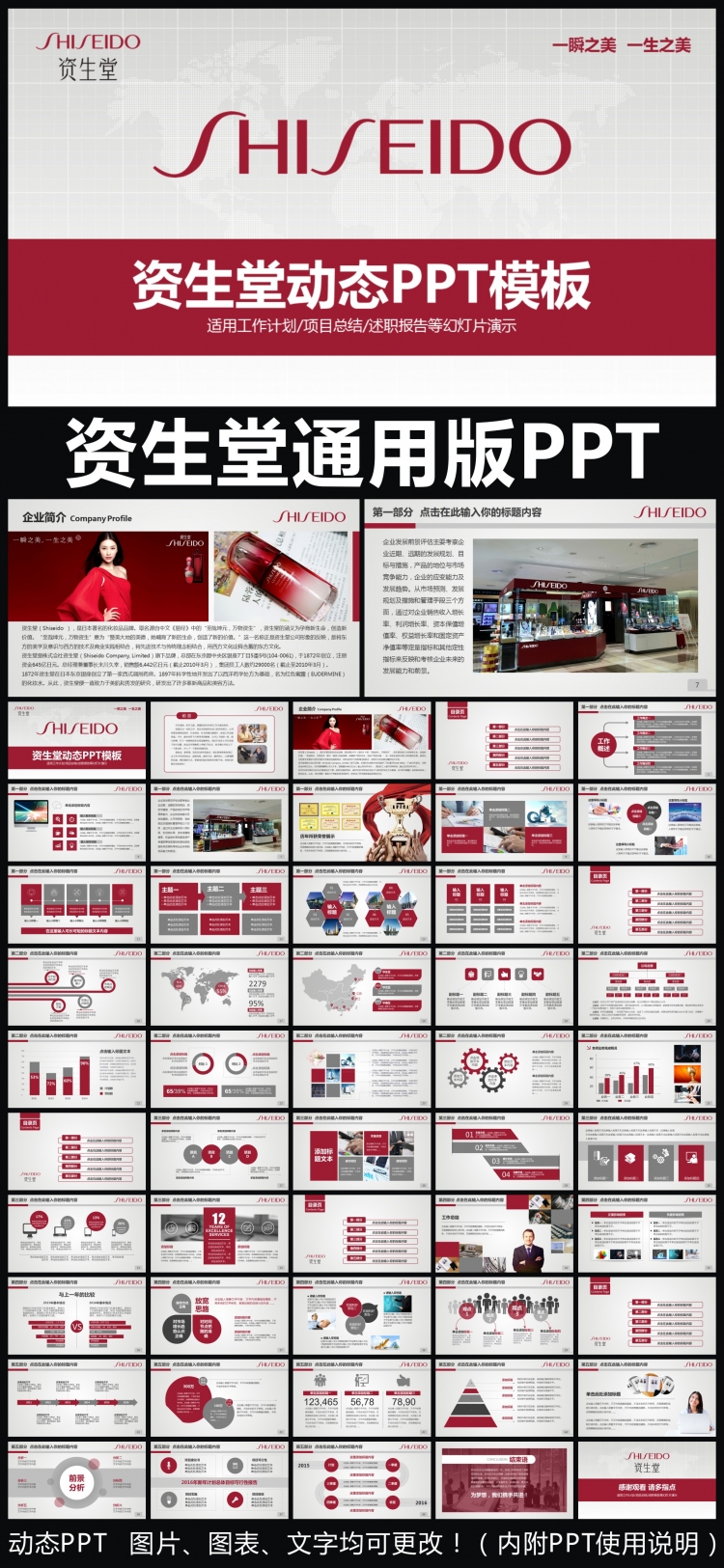 資生堂企業(yè)簡介通用版動態(tài)PPT專用模板 述職報(bào)告 工作總結(jié) 工作匯報(bào) 年終總結(jié) 新年計(jì)劃