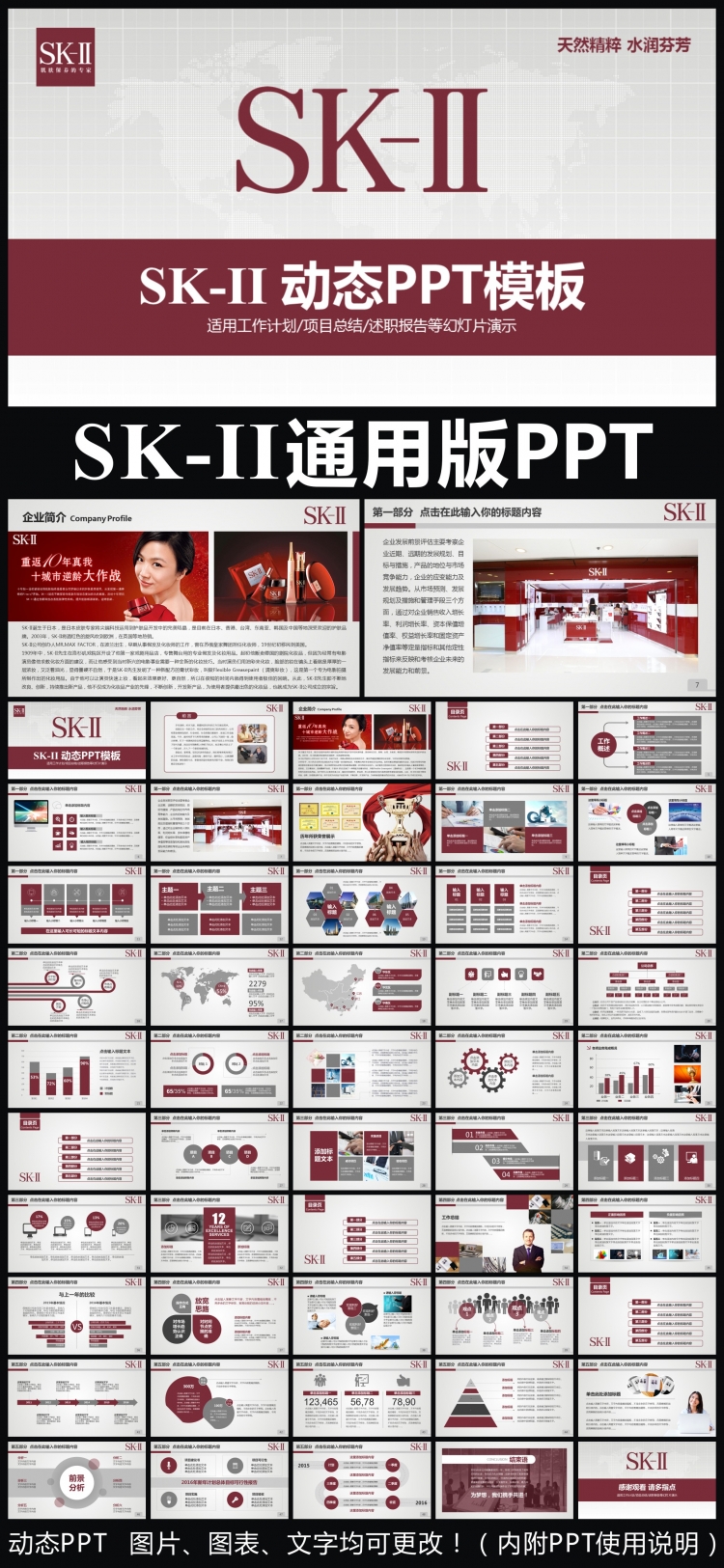 SK-II企業(yè)簡(jiǎn)介通用版動(dòng)態(tài)PPT專(zhuān)用模板 述職報(bào)告 工作總結(jié) 工作匯報(bào) 年終總結(jié) 新年計(jì)劃