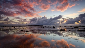 【海報分享計劃】Red Reef Sky Wallpaper Pack