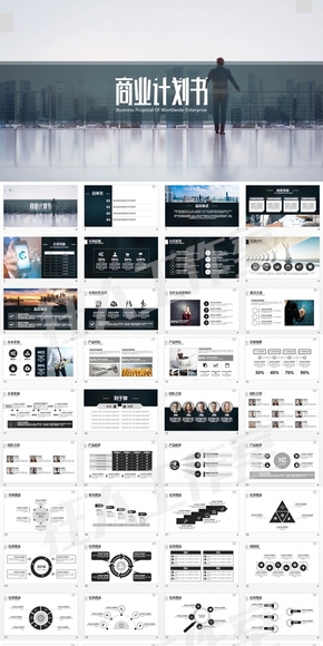 商業(yè)計劃書、貿(mào)易、市場、項目展示PPT模板 
